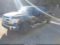 2013 Ford F-150 — photo 2 of 17 | VIN 1FTFW1ET8DFA20839