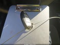 2010 Nissan Maxima — photo 11 of 16 | VIN 1N4AA5AP0AC856463