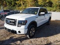 2014 Ford F-150 — photo 2 of 17 | VIN 1FTFW1EF3EKG15035