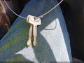 2001 Toyota RAV4 — photo 11 of 11 | VIN JTEGH20VX10023099