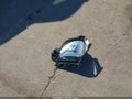 2020 Chevrolet Equinox — photo 12 of 17 | VIN 3GNAXHEV8LS545595