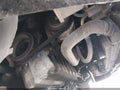 2006 Volkswagen Jetta — photo 13 of 13 | VIN 3VWDT71K66M643182
