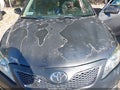2010 Toyota Camry — photo 10 of 11 | VIN 4T1BF3EK8AU551625