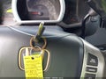 2006 Honda Ridgeline — photo 11 of 11 | VIN 2HJYK16416H522195