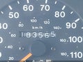 1999 Isuzu Rodeo — photo 15 of 16 | VIN 4S2CK58WXX4373924