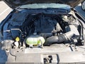 2017 Ford Mustang — photo 10 of 17 | VIN 1FA6P8TH2H5266534