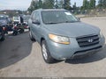 2007 Hyundai Santa Fe — photo 1 of 16 | VIN 5NMSH13E27H028746