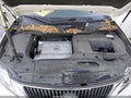 2010 Lexus RX 350 — photo 10 of 17 | VIN 2T2ZK1BA4AC028304