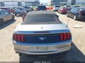 2020 Ford Mustang — photo 16 of 16 | VIN 1FATP8UH8L5118768