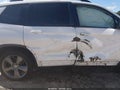 2021 Honda Passport — photo 6 of 17 | VIN 5FNYF8H93MB020950