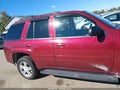 2008 Chevrolet Trailblazer — photo 13 of 16 | VIN 1GNDT13S182160844