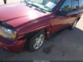 2008 Chevrolet Trailblazer — photo 6 of 16 | VIN 1GNDT13S182160844
