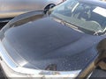 2017 Honda Civic — photo 6 of 16 | VIN 2HGFC2F51HH551806
