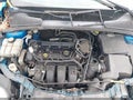2013 Ford Focus — photo 10 of 10 | VIN 1FADP3F28DL156207