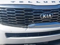 2021 Kia Telluride — photo 19 of 19 | VIN 5XYP3DHC4MG110304