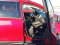 2019 GMC Terrain — photo 5 of 18 | VIN 3GKALMEV6KL139213