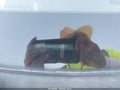 2016 Kia Soul — photo 9 of 11 | VIN KNDJN2A23G7859375