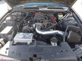 2008 Ford Mustang — photo 10 of 12 | VIN 1ZVHT80N785152874