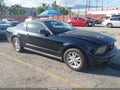 2008 Ford Mustang — photo 1 of 12 | VIN 1ZVHT80N785152874