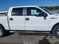 2014 Ford F-150 — photo 13 of 18 | VIN 1FTEW1CM6EFB03226