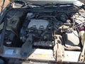 1996 Chevrolet Lumina — photo 10 of 11 | VIN 2G1WL52M2T1113996