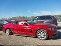 2015 Ford Mustang — photo 13 of 16 | VIN 1FA6P8CF4F5391031