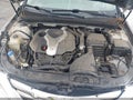 2013 Hyundai Sonata — photo 10 of 11 | VIN 5NPEC4AB1DH565435