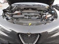 2020 Alfa Romeo Stelvio — photo 10 of 21 | VIN ZASPAKBN2L7C90390