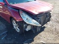 2013 Hyundai Sonata — photo 18 of 19 | VIN 5NPEC4AC6DH561373