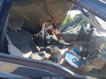 2002 Ford F-250 — photo 5 of 15 | VIN 1FTNX21L92EB55075