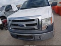 2013 Ford F-150 — photo 12 of 16 | VIN 1FTNF1CF6DKF22605
