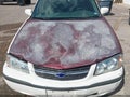 2004 Chevrolet Impala — photo 6 of 11 | VIN 2G1WF52E349216315