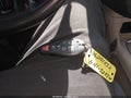 2020 Dodge Grand Caravan — photo 11 of 21 | VIN 2C4RDGCG3LR212446