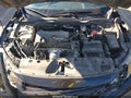 2019 Honda Civic — photo 10 of 16 | VIN 19XFC2F61KE028201
