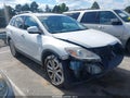 2011 Mazda CX-9 — photo 14 of 17 | VIN JM3TB2DA3B0305475