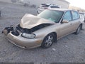 2003 Chevrolet Malibu — photo 2 of 16 | VIN 1G1NE52J73M736594