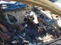 2024 Toyota Corolla — photo 5 of 11 | VIN JTDBCMFE0R3067333