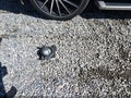 2016 Nissan Pathfinder — photo 11 of 16 | VIN 5N1AR2MN0GC612943