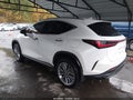 2024 Lexus NX 350 — photo 3 of 15 | VIN JTJHGCEZ3R5010025
