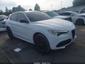 2021 Alfa Romeo Stelvio — photo 14 of 17 | VIN ZASPAKBN7M7D09629