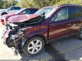 2009 Hyundai Santa Fe — photo 16 of 17 | VIN 5NMSH13E49H310289