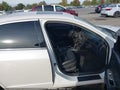 2010 Ford Fusion — photo 5 of 16 | VIN 3FAHP0JA4AR263024