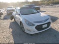 2013 Hyundai Sonata Hybrid — photo 1 of 17 | VIN KMHEC4A40DA080935