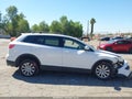 2010 Mazda CX-9 — photo 13 of 16 | VIN JM3TB2MV9A0218598