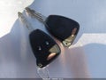 2007 Dodge Ram 1500 — photo 11 of 16 | VIN 1D7HA16P17J574420