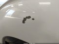 2016 Ford F-250 — photo 13 of 20 | VIN 1FT7X2B63GED02984