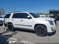 2017 Cadillac Escalade — photo 13 of 17 | VIN 1GYS4DKJ4HR337945