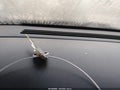1996 Lincoln Town Car — photo 11 of 12 | VIN 1LNLM81W9TY670389