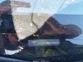 2012 Tesla Model S — photo 9 of 19 | VIN 5YJSA1DP6CFS00440