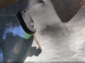 2008 Ford Escape — photo 11 of 17 | VIN 1FMCU03188KD31894